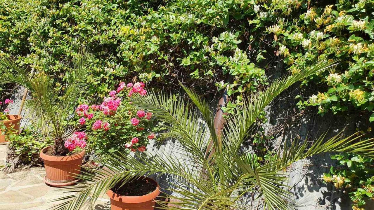 Marianas Guesthouse Obzor Exterior photo